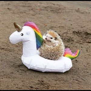 Meet your Posher, Maya